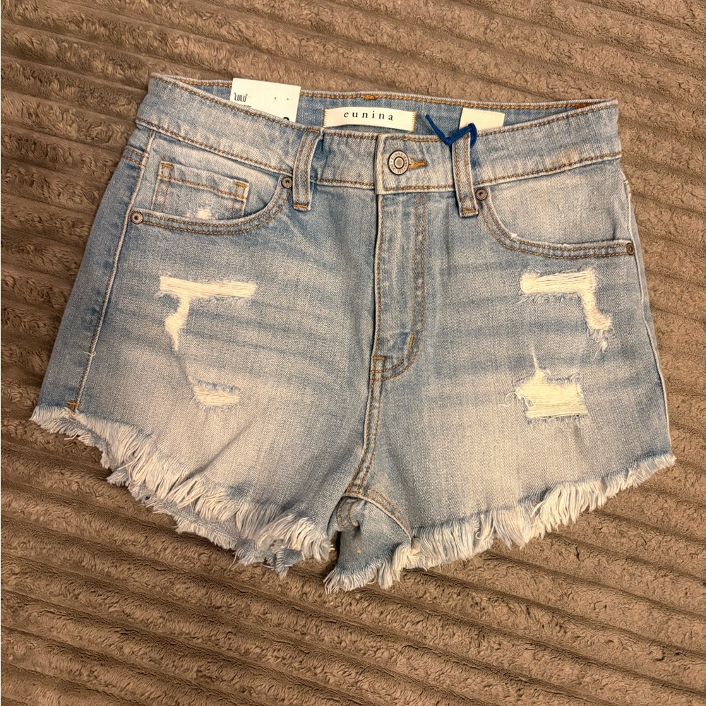 Eunina Light Blue Distressed Jean Shorts
